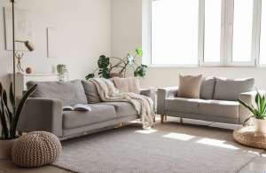 Interior,Of,Light,Living,Room,With,Grey,Sofas,,Window,And